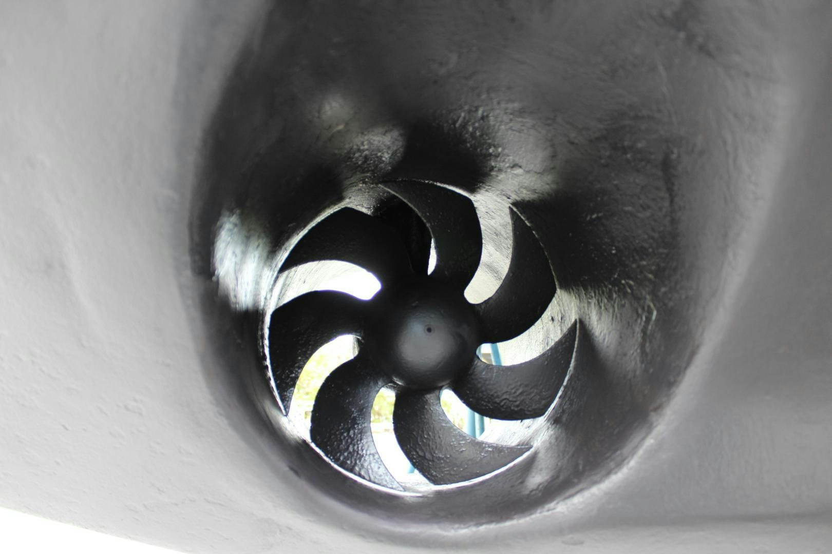 a close up of a dog aboard No Name Yacht for Sale