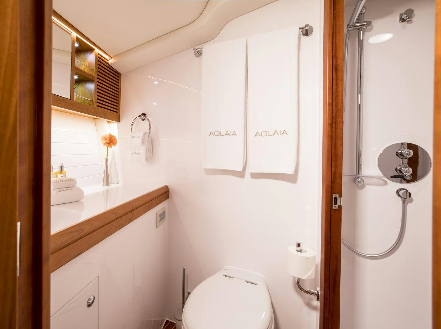 a bathroom with a toilet and a sink aboard aglaia Yacht for Sale
