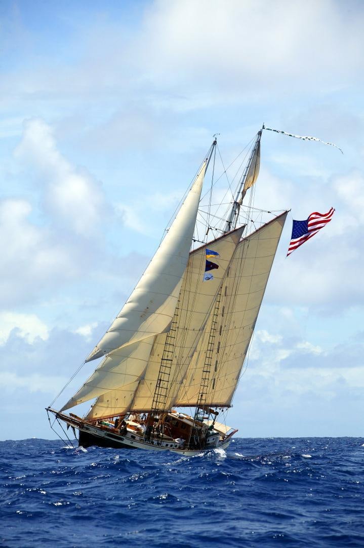 a sailboat in the ocean aboard TREE OF LIFE Yacht for Sale