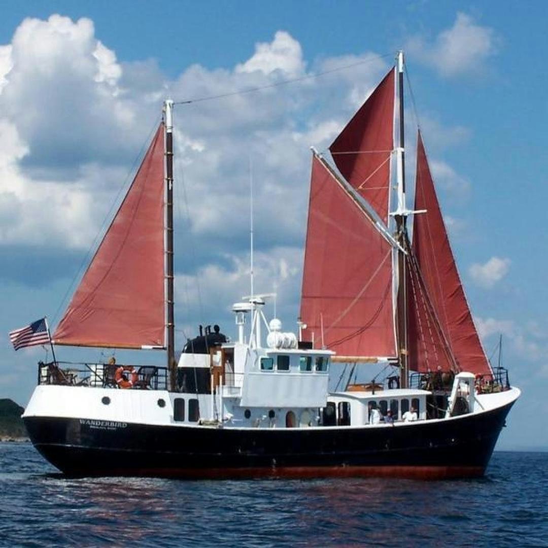 a boat on the water aboard WANDERBIRD Yacht for Sale