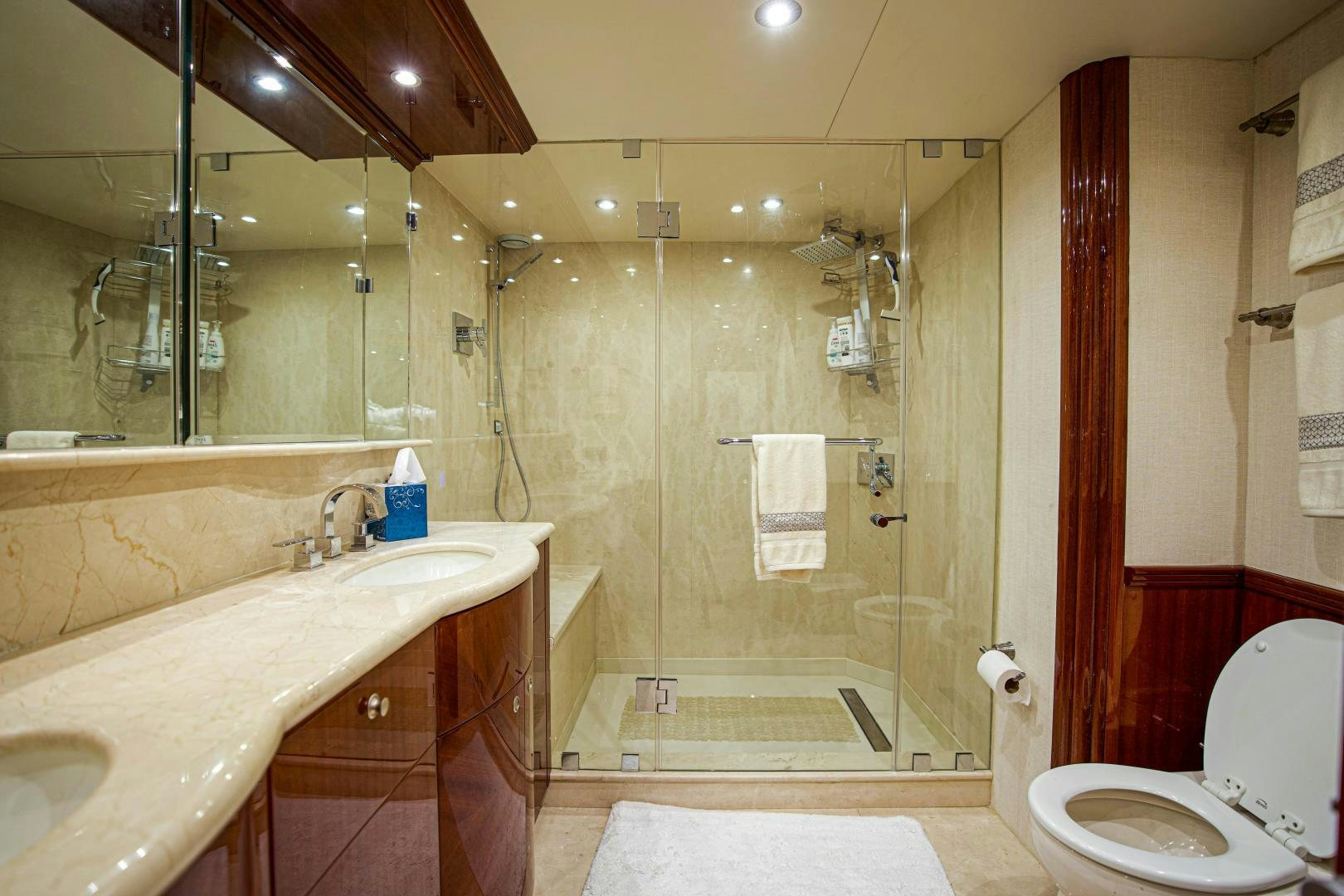 a bathroom with a shower and sink aboard new horizon Yacht for Sale