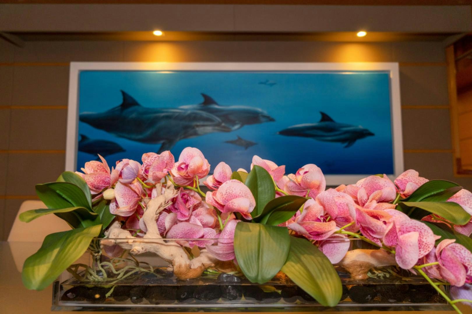 a fish swimming in a tank aboard ADAR Yacht for Sale