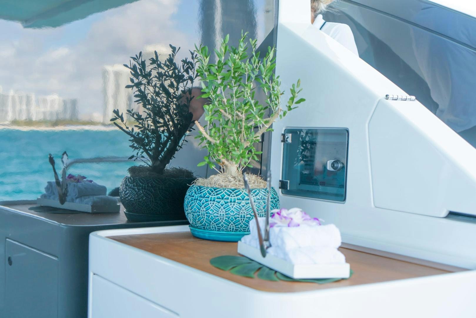 a plant in a pot on a desk aboard RINA Yacht for Sale