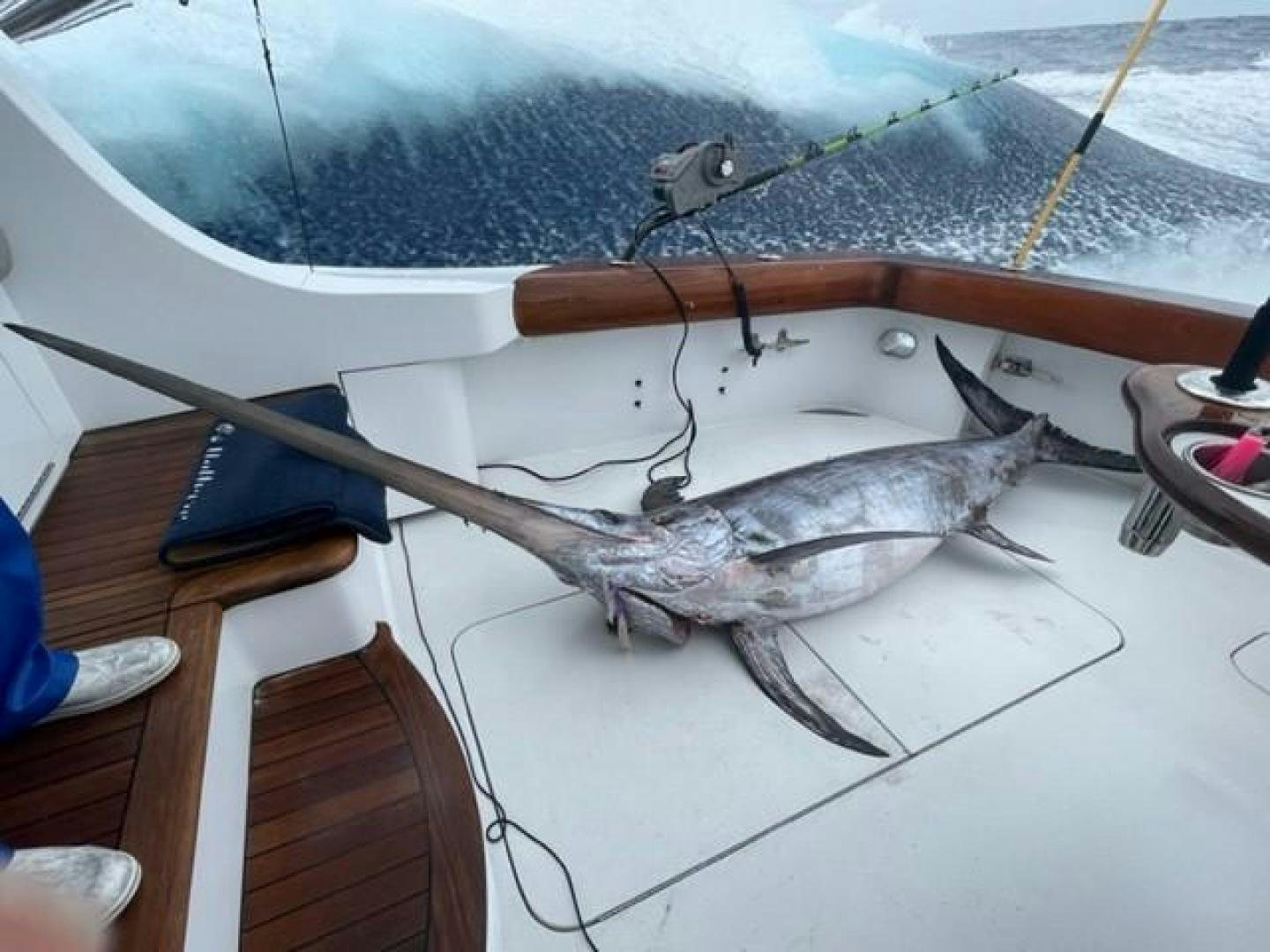 a fish on a table aboard LYON FISH Yacht for Sale