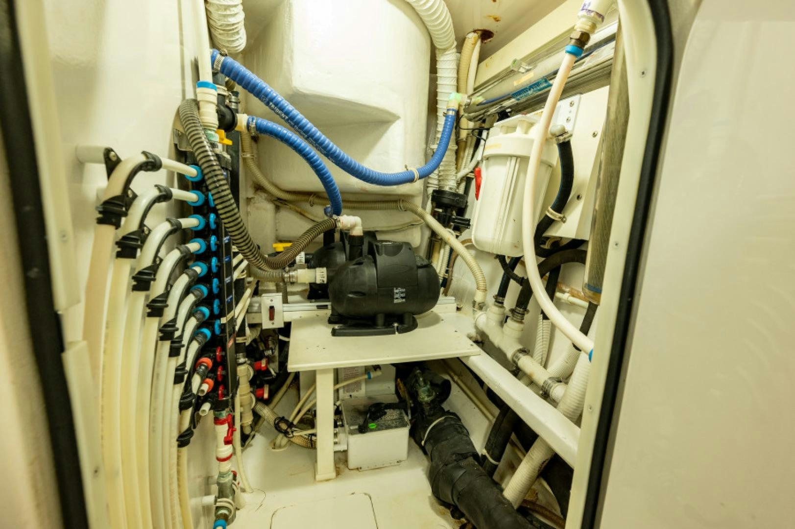 a cat lying on a shelf aboard Bimini Babe Yacht for Sale