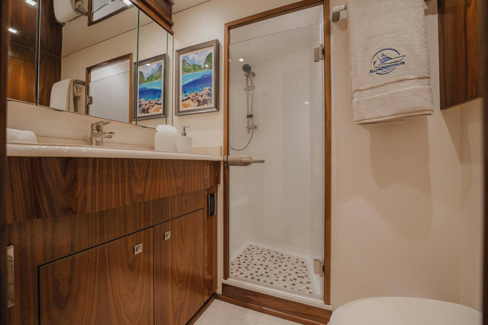 a bathroom with a shower and sink aboard AUSPICIOUS Yacht for Sale
