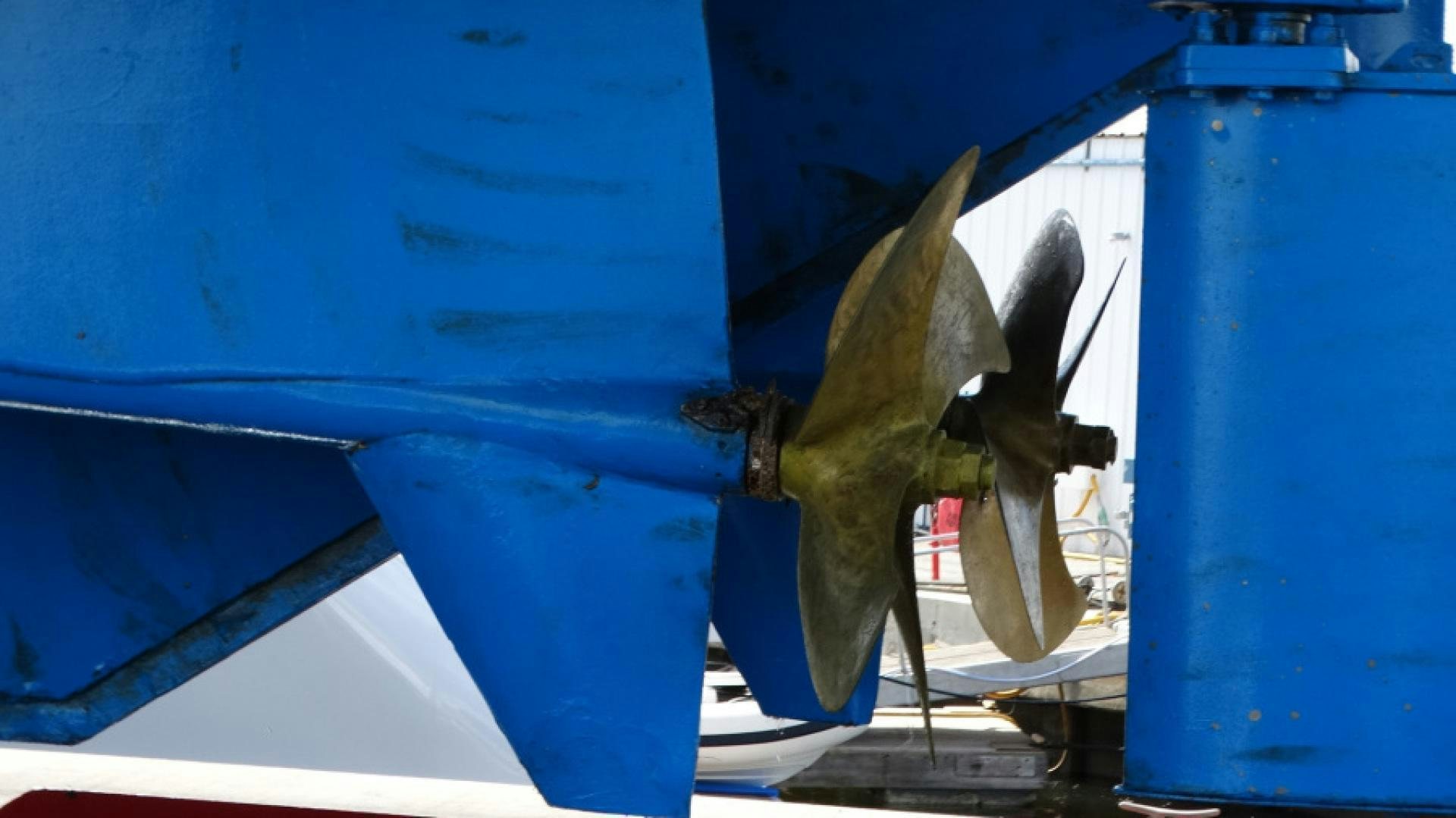 a group of dolphins jumping out of a blue boat aboard MYU Yacht for Sale