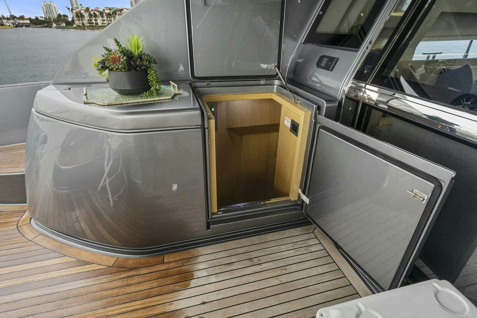 a potted plant on a wooden floor in a car aboard GYPSEA Yacht for Sale