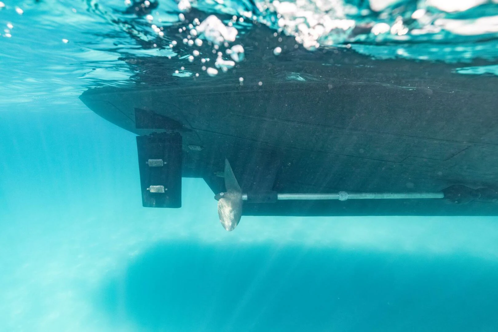 a shark swimming under water aboard SISSI Yacht for Sale
