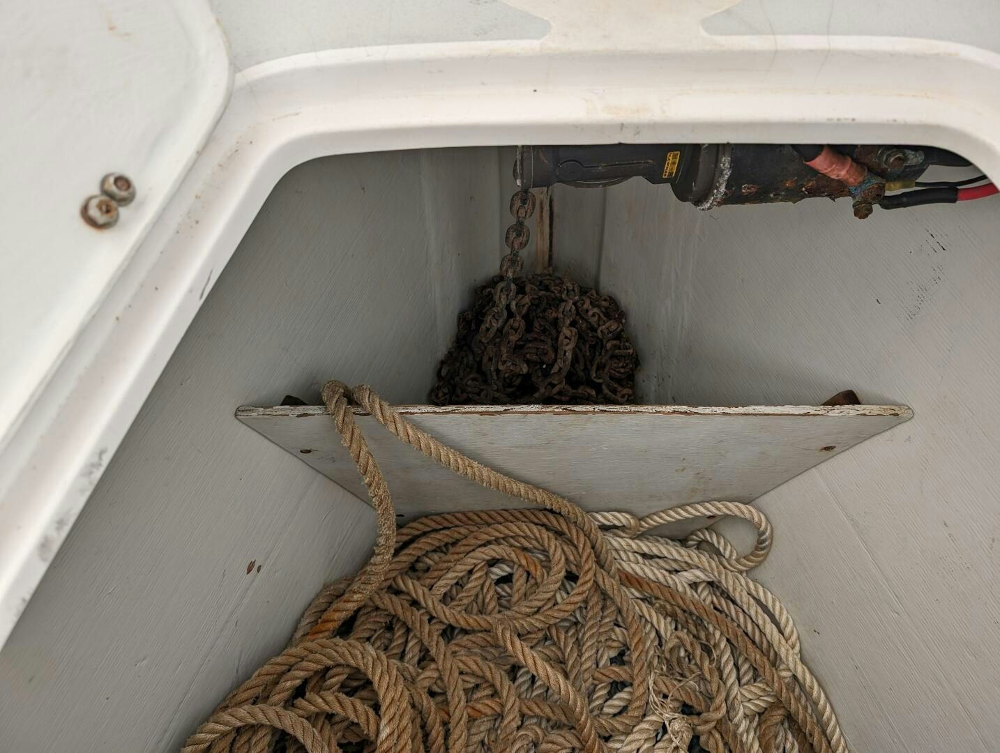 a cat in a boat aboard MOJO Yacht for Sale