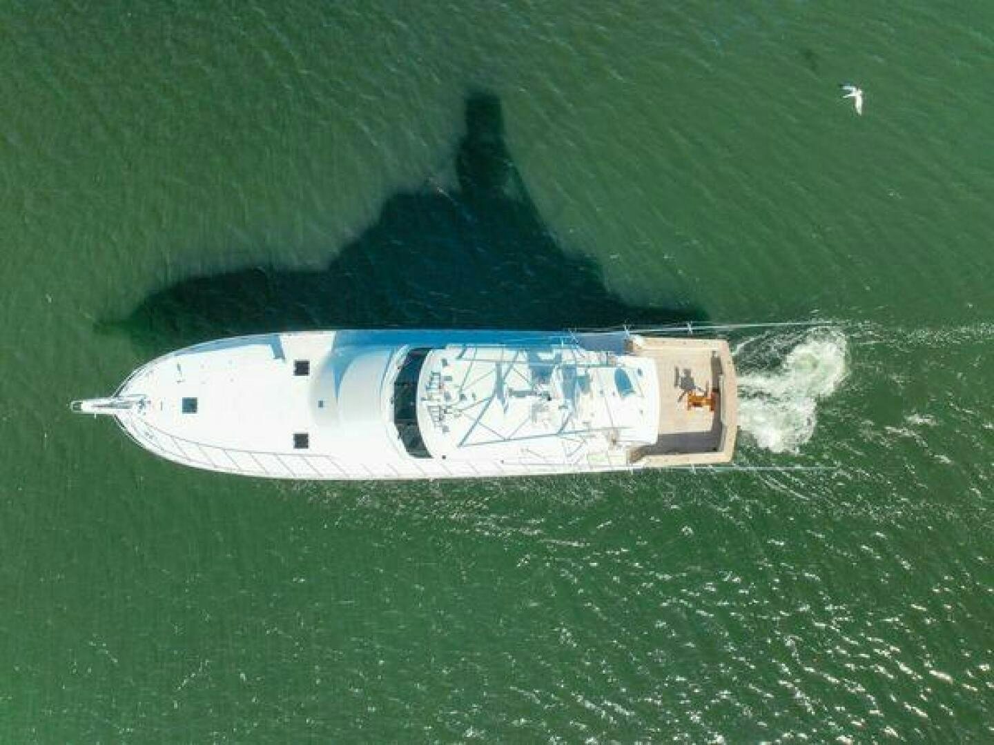 a helicopter flying over a body of water aboard POLE POSITION Yacht for Sale