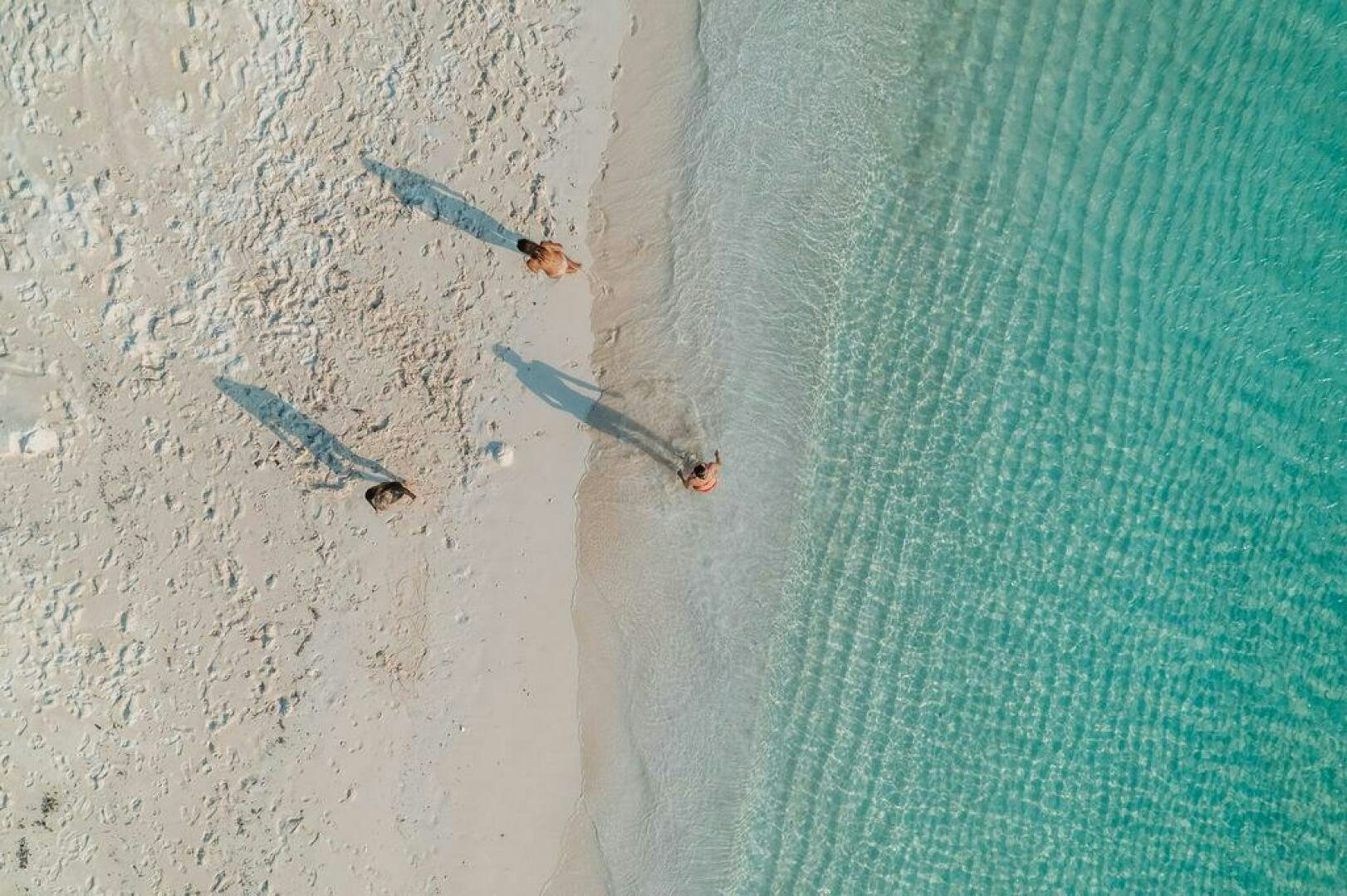 a bird flying over water aboard BEACHFRONT Yacht for Sale