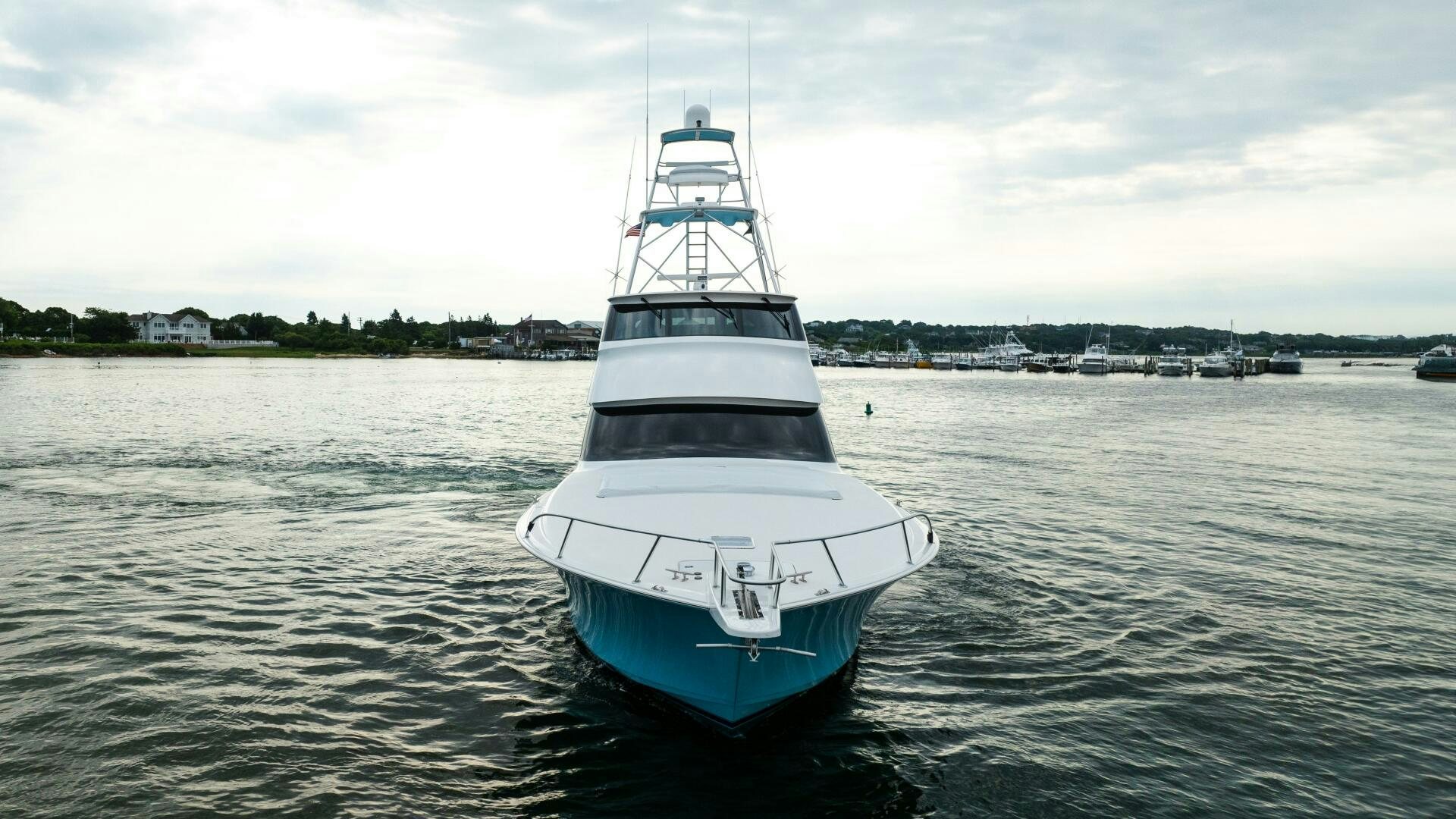 a boat in the water aboard BLUE EYES Yacht for Sale