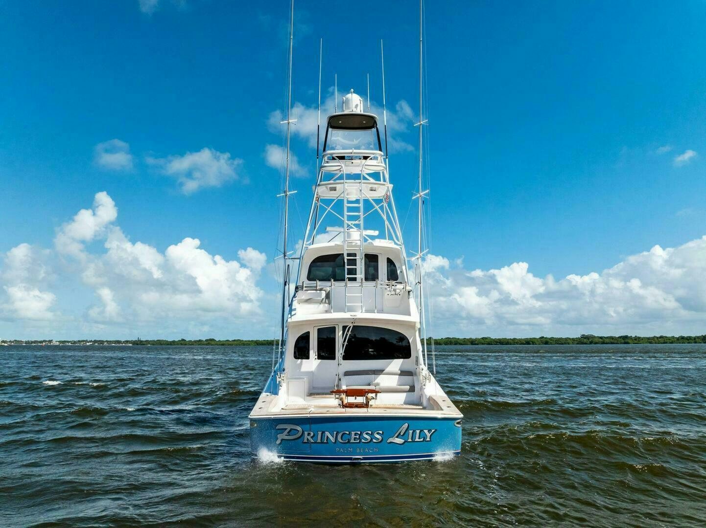 a boat in the water aboard PRINCESS LILY Yacht for Sale