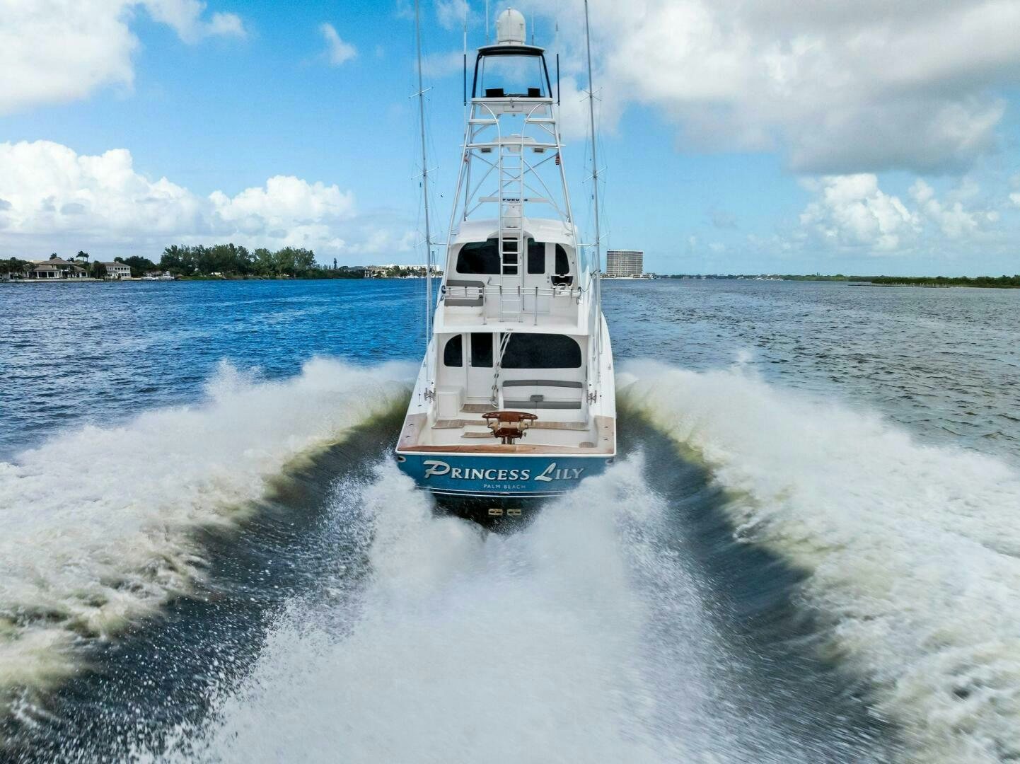 a boat on the water aboard PRINCESS LILY Yacht for Sale