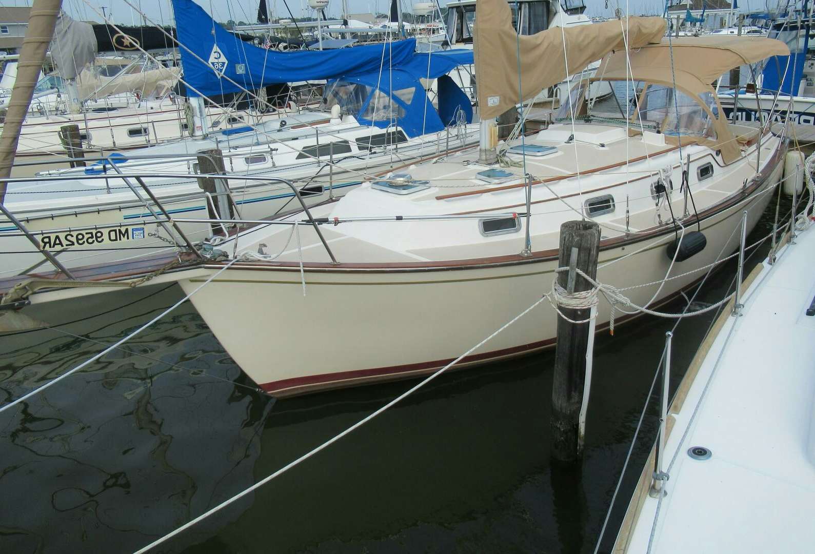 a group of boats are parked in a harbor aboard EL BO ROOM Yacht for Sale