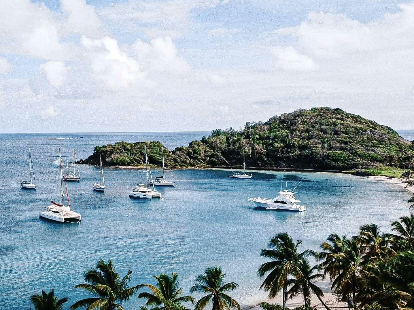 a group of boats in the water aboard Cataja Yacht for Charter