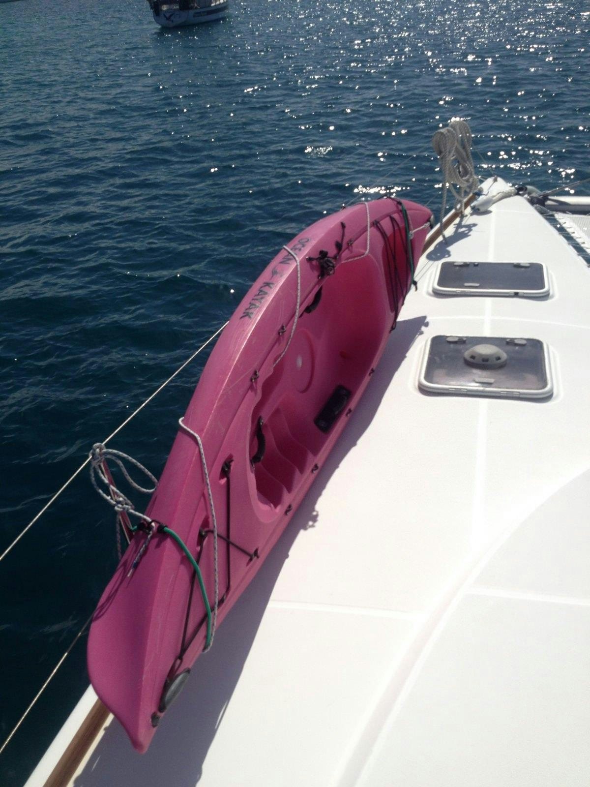 a bird on a boat aboard MANGO Yacht for Charter