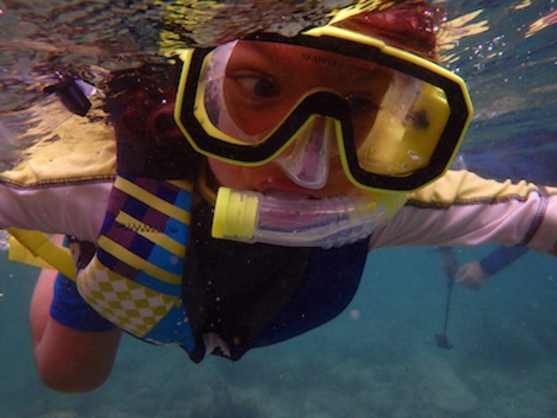 a person wearing goggles underwater aboard MANGO Yacht for Charter