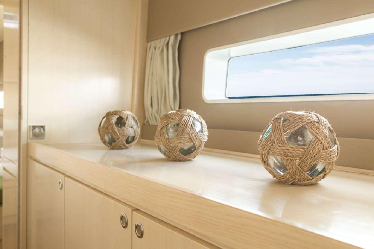 a group of shells on a counter aboard CYGNUS CYGNUS Yacht for Charter