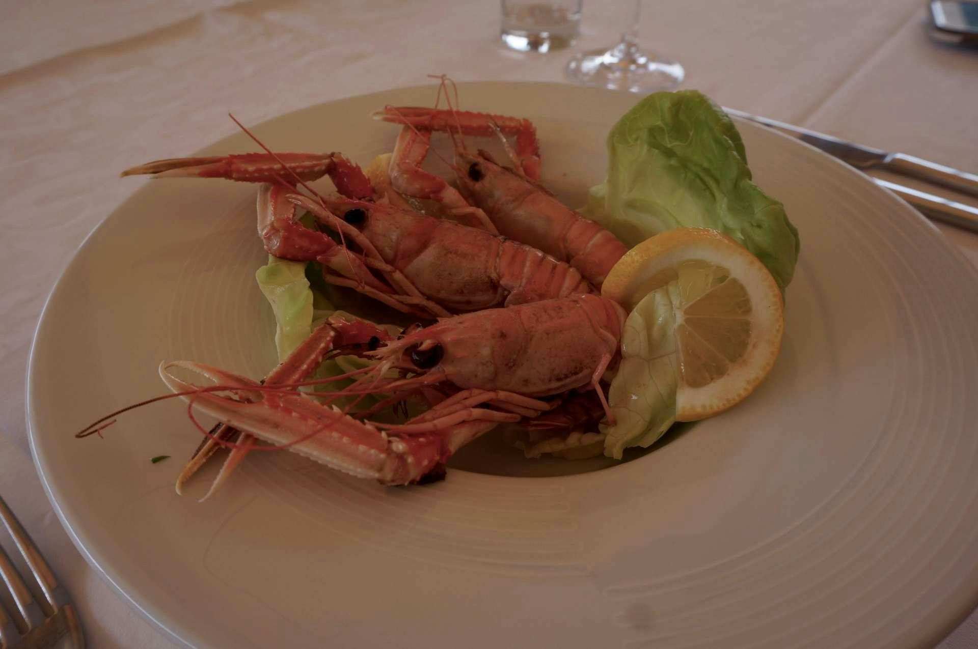 a plate of seafood aboard Malena Yacht for Charter