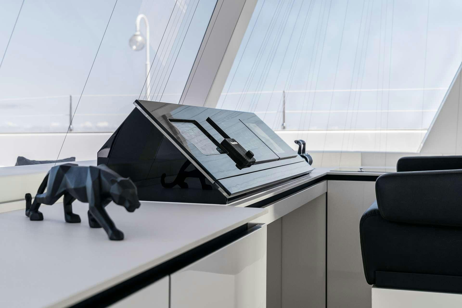 a cat walking on a treadmill aboard ABOVE AND BEYOND Yacht for Charter