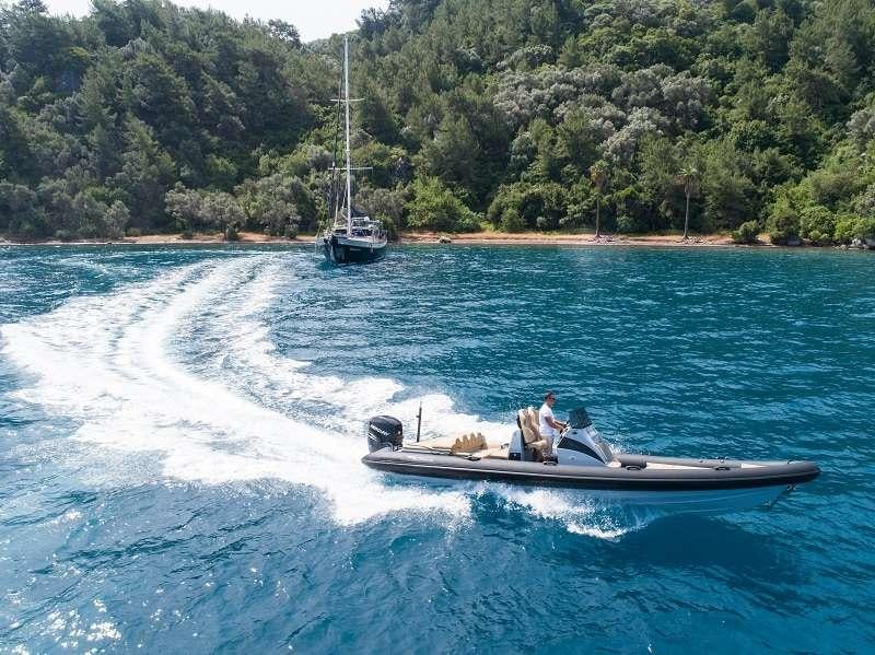 a boat with a dog on it aboard VIVA SHIRA Yacht for Charter