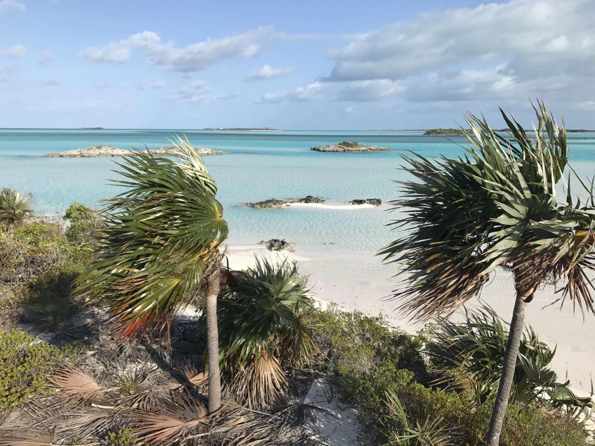 a beach with palm trees and water aboard Samoru ll Yacht for Charter