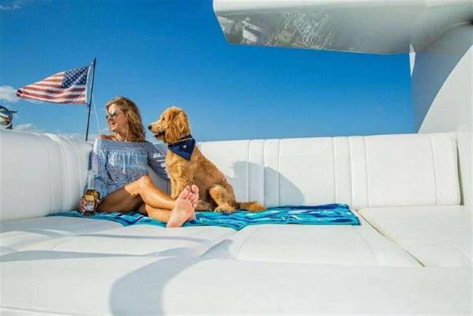 a person and a dog on a bed aboard HIGH LINE Yacht for Charter