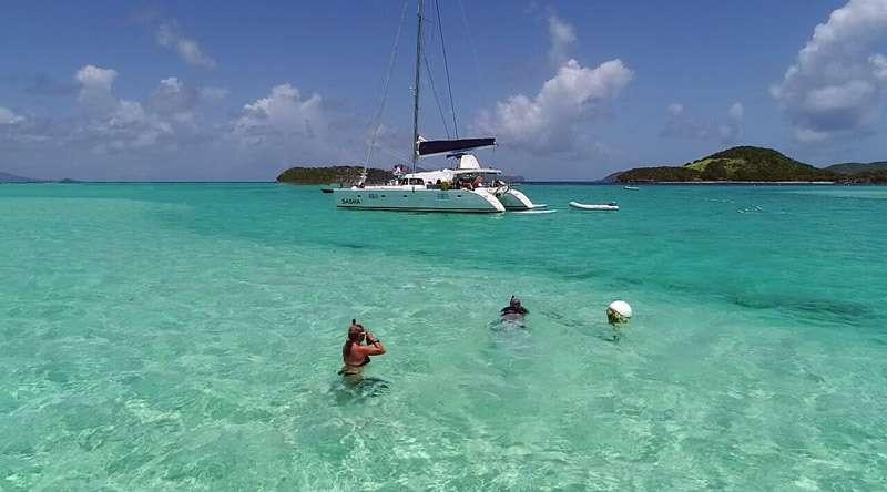 a person swimming in the ocean aboard SASHA Yacht for Charter