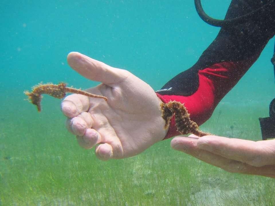 a person's hand holding a ball above a green surface aboard EXTASEA 2 Yacht for Charter