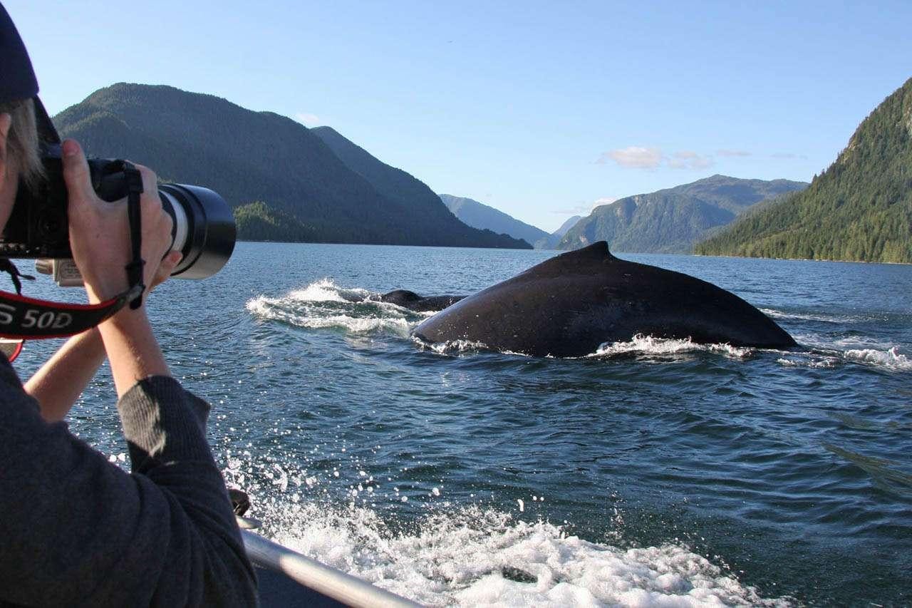 a person holding a camera and a camera in a body of water aboard PACIFIC YELLOWFIN Yacht for Charter