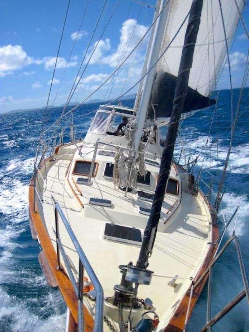 a boat on the water aboard JALAPE&Ntilde;O Yacht for Charter