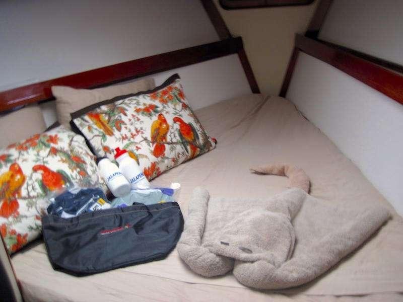 a stuffed animal on a bed aboard JALAPE&Ntilde;O Yacht for Charter