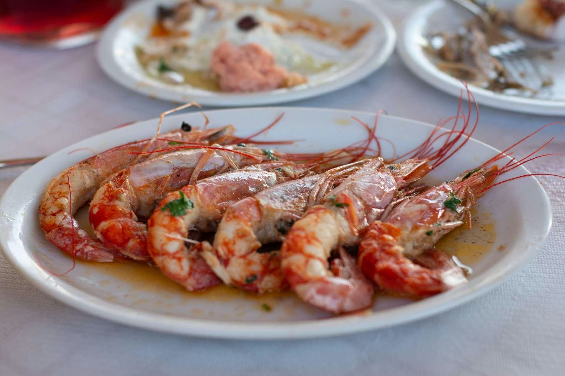 a plate of food aboard Wyvern Yacht for Charter