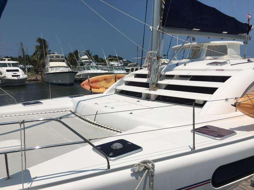 a dog on a boat aboard LUNA SEA Yacht for Charter