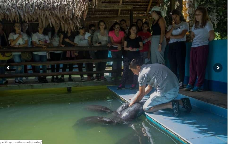 a person doing a flip in a pool with a group of people watching aboard CRUCERO AMAZONAS Yacht for Charter