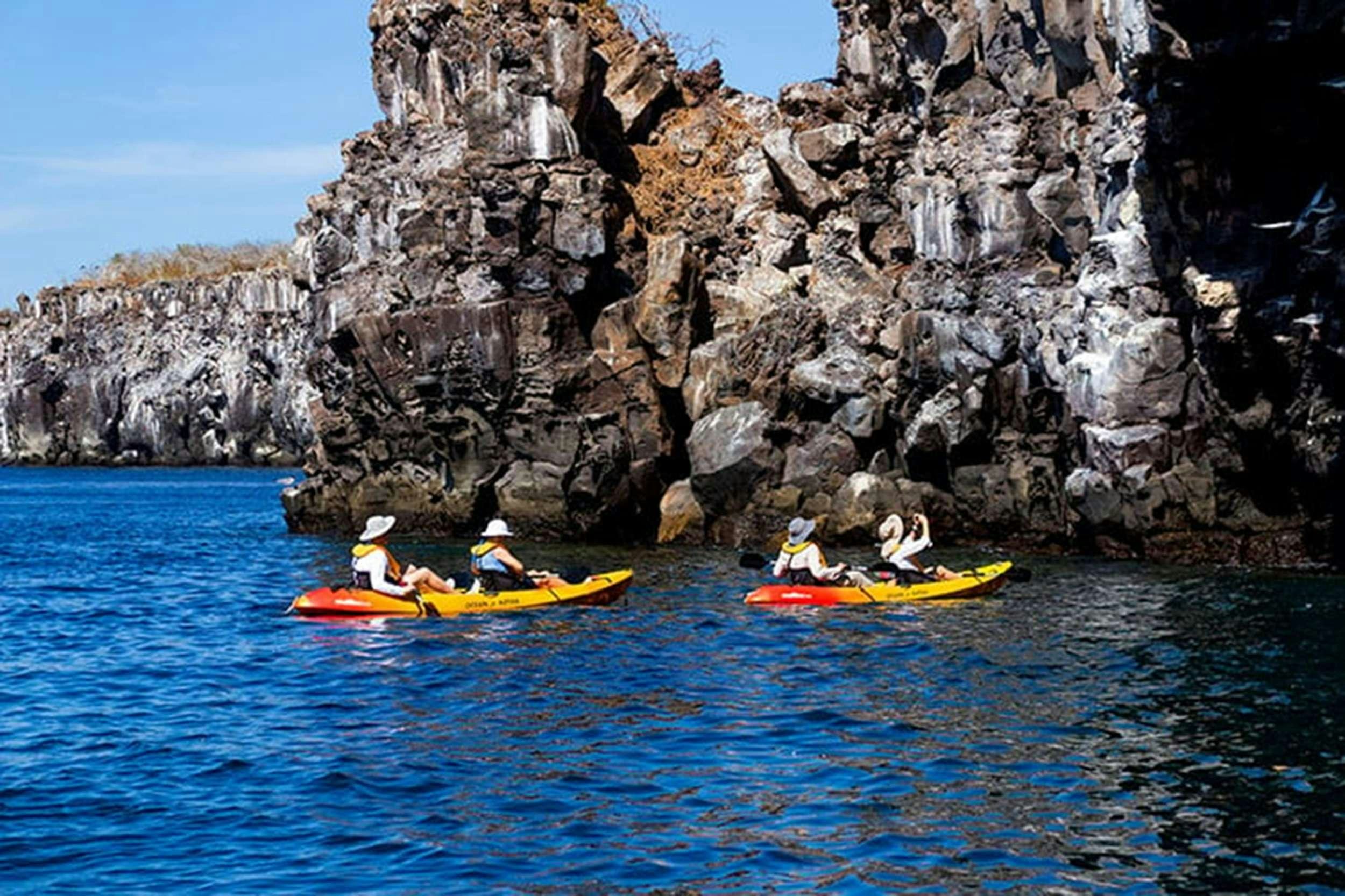 a group of people in kayaks in a body of water aboard CORMORANT II Yacht for Charter