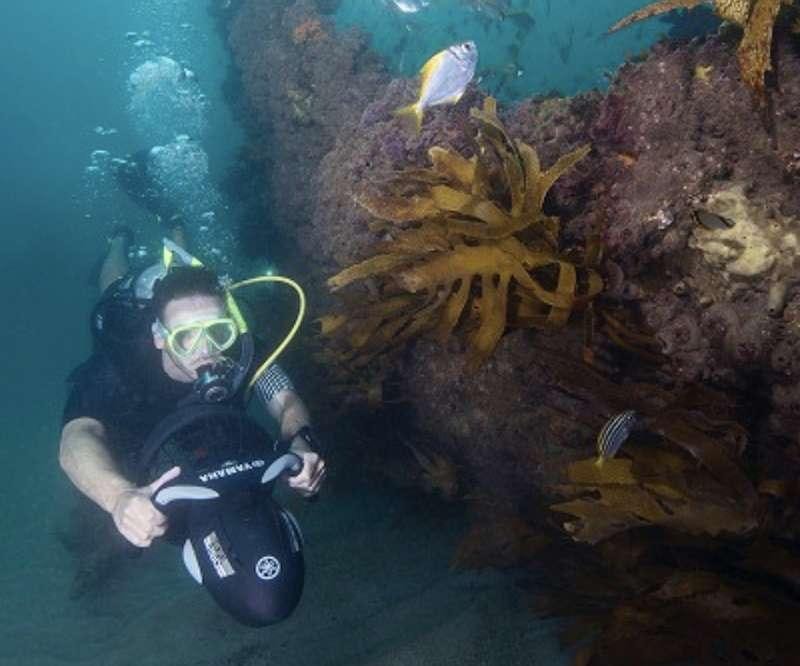 a scuba diver in the water aboard ISLAND HOPPIN' Yacht for Charter