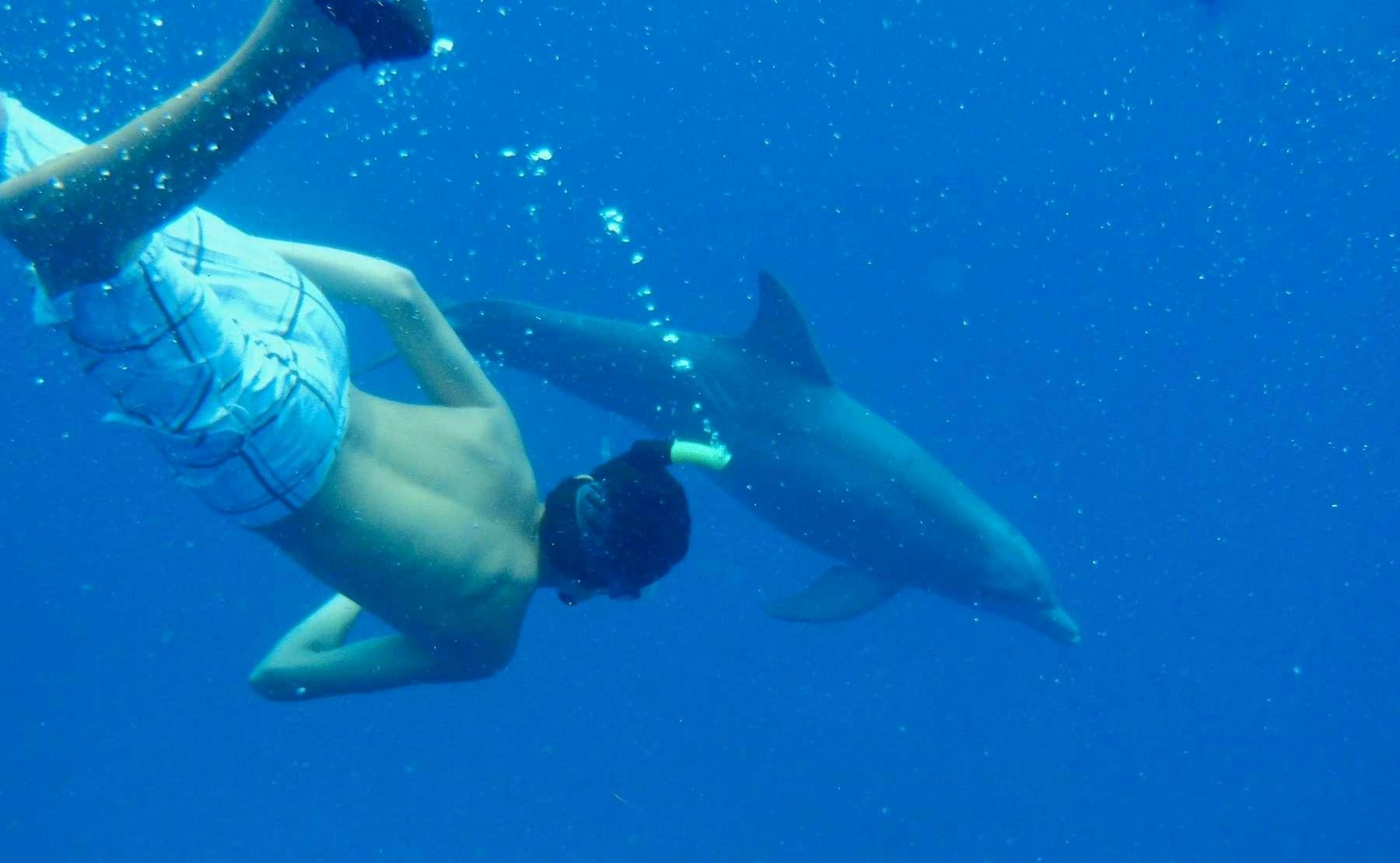 a person swimming underwater aboard MCGREGOR III Yacht for Charter