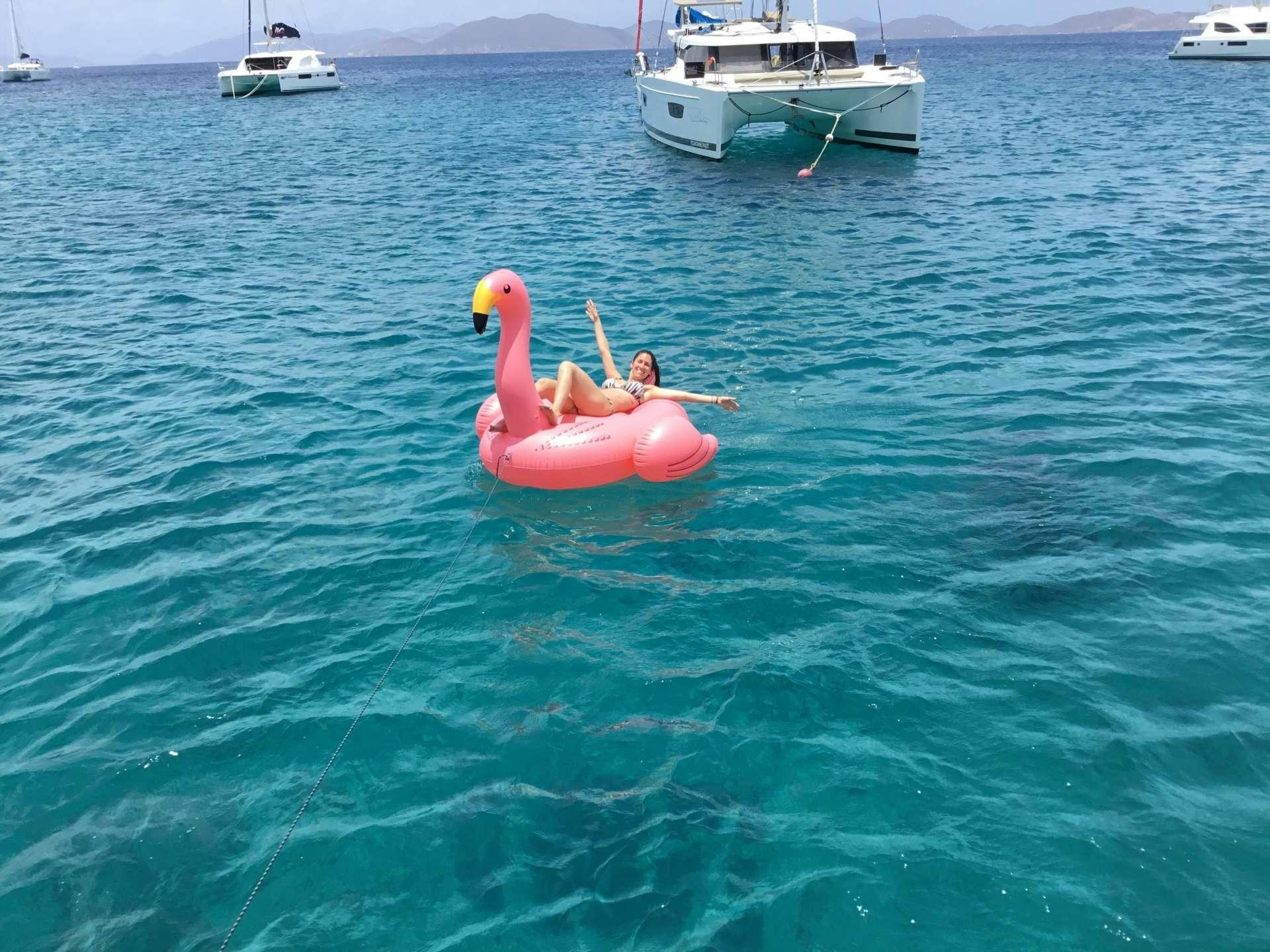 a couple of pink flamingos in the water with boats in the background aboard FRENK Yacht for Charter