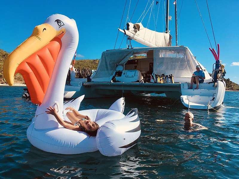 a large white bird with a boat in the background aboard PELICAN Yacht for Charter