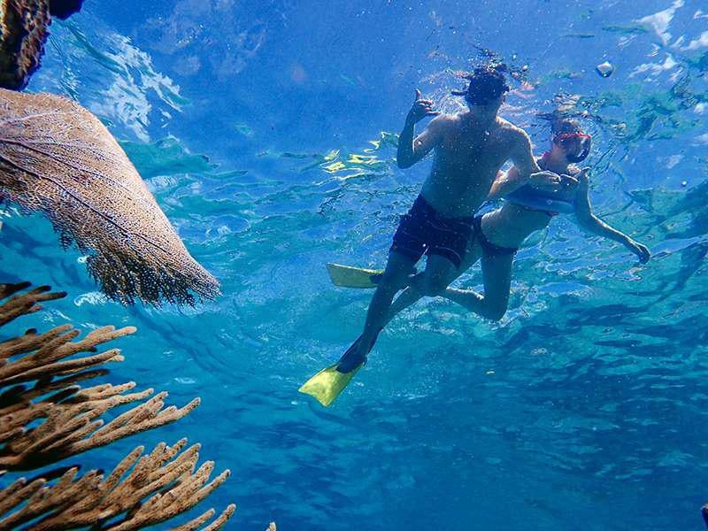 a couple of men diving aboard PELICAN Yacht for Charter