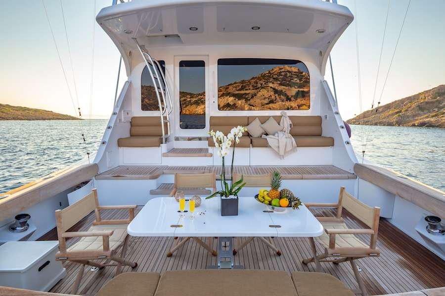 a boat on the water aboard ASTRAPE Yacht for Charter