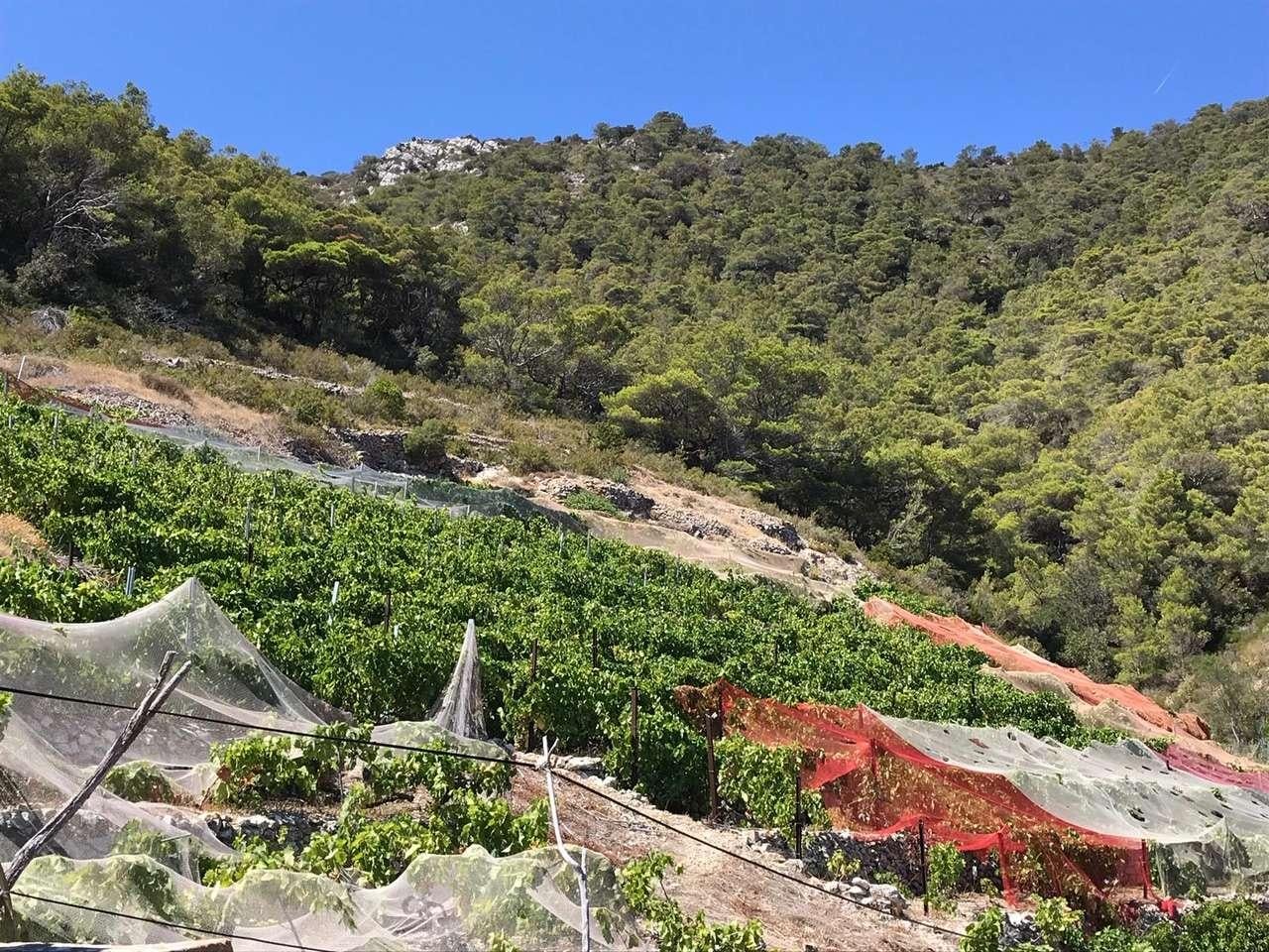 a view of a mountain side aboard ARCTIC QUEEN Yacht for Charter
