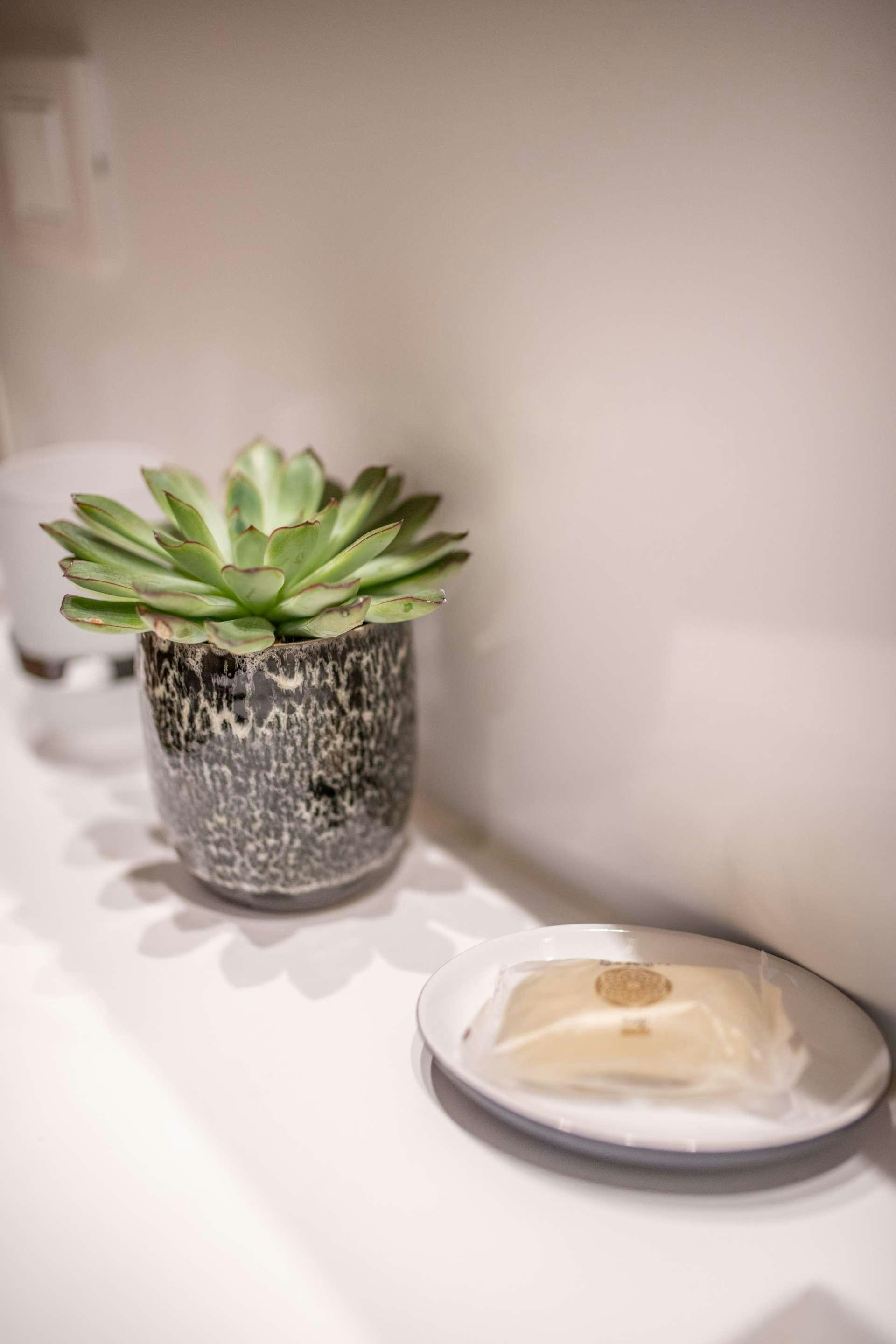 a plant in a pot next to a plate of food aboard SKY BLU  Yacht for Charter