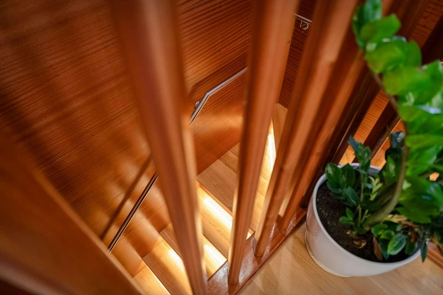 a potted plant on a window sill aboard SON DE MAR Yacht for Charter