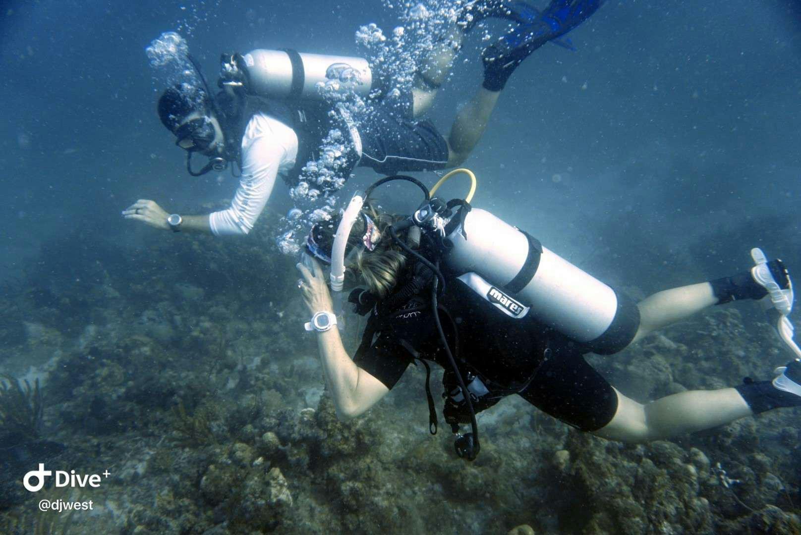 a scuba diver in the water aboard CHAOS INTERRUPTED Yacht for Charter