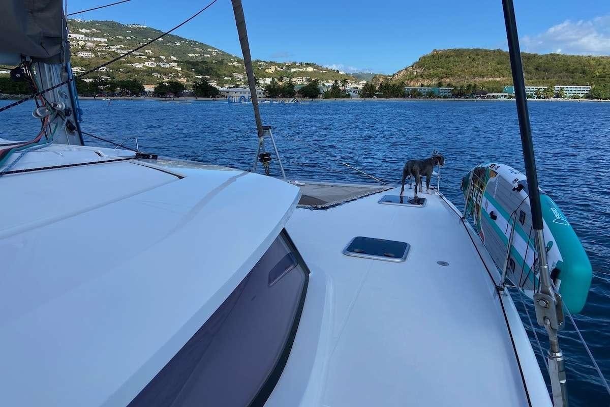 a dog on a boat aboard IREMIA Yacht for Charter