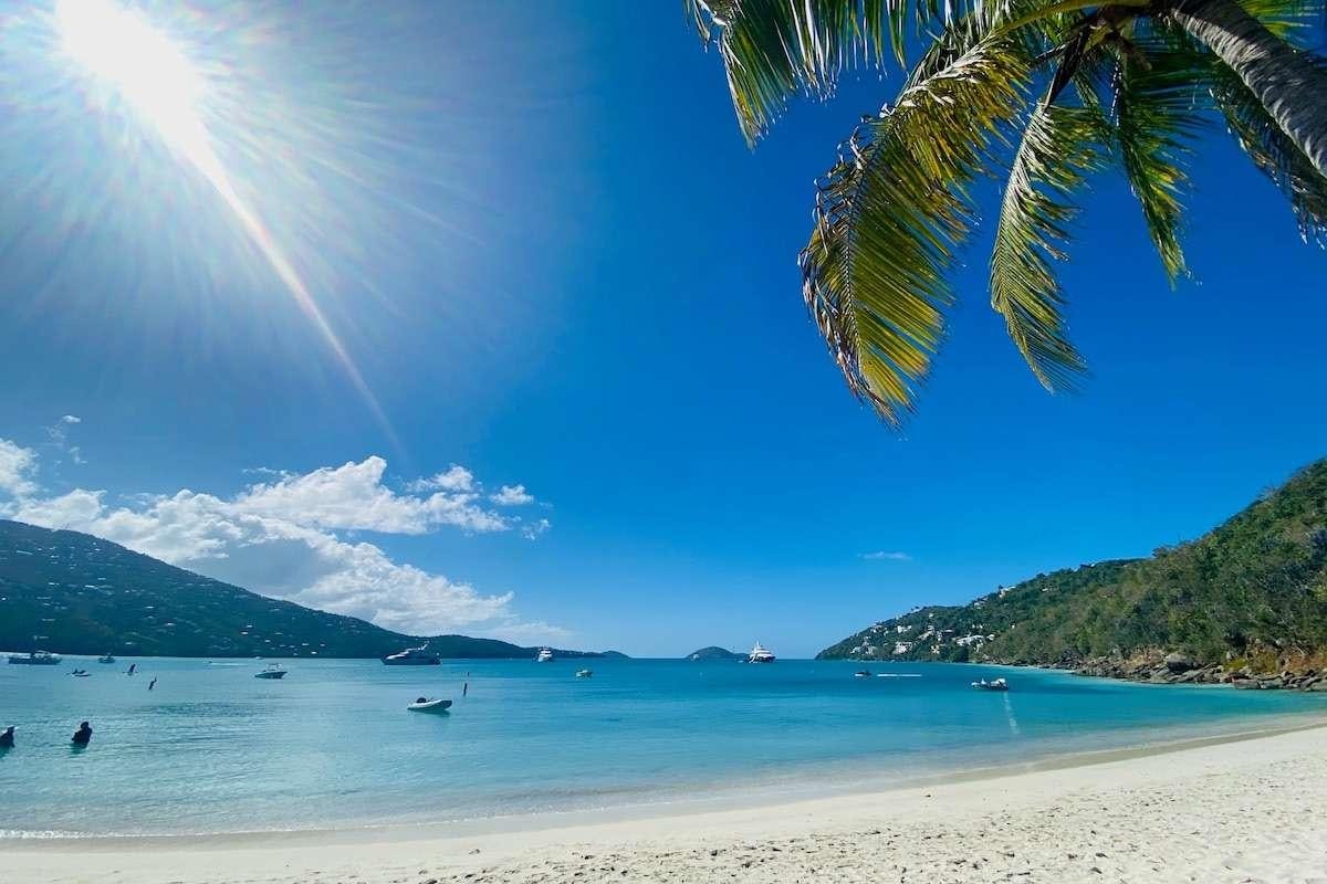 a beach with a palm tree and boats on it aboard IREMIA Yacht for Charter
